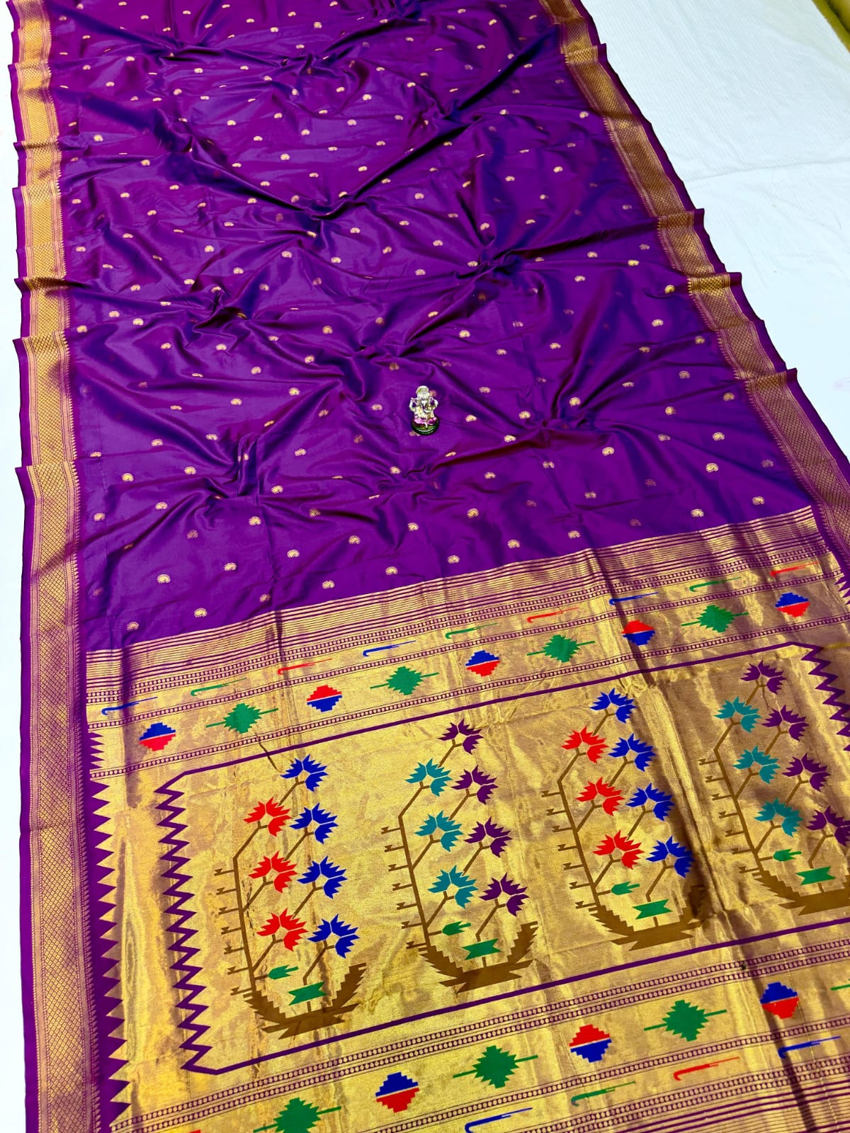 Ashavali purple saree