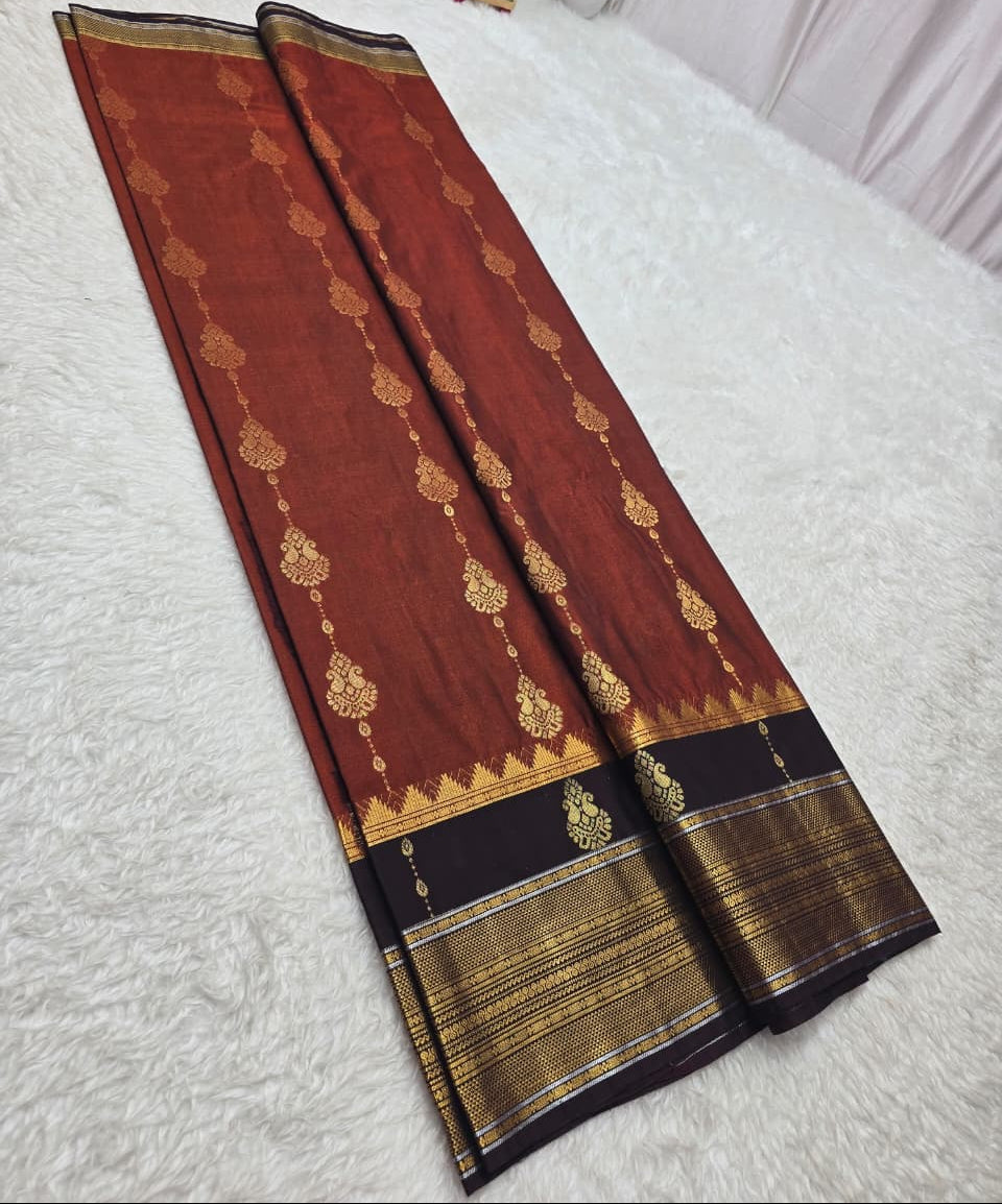 Brown saree with gold and black patterns on a white surface