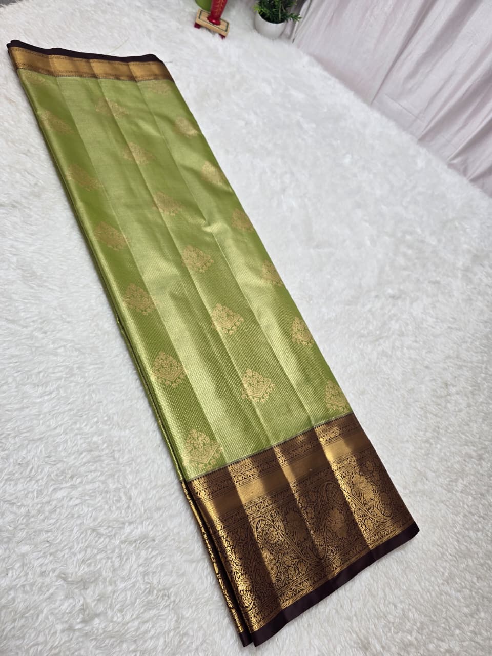 Green saree with brown border on a white surface