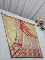 Traditional saree with intricate patterns on a white surface