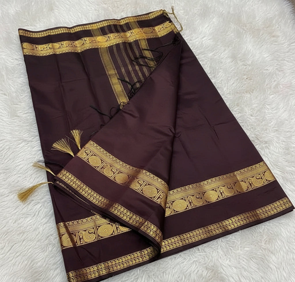 Brown saree with gold border on a tiled floor