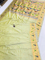 Light green saree with a colorful border on a white background